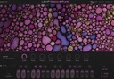Native Instruments KOMPLETE 15 Select Band DL