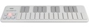 NANOKEY 2 White