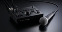 VT-4 Voice Transformer