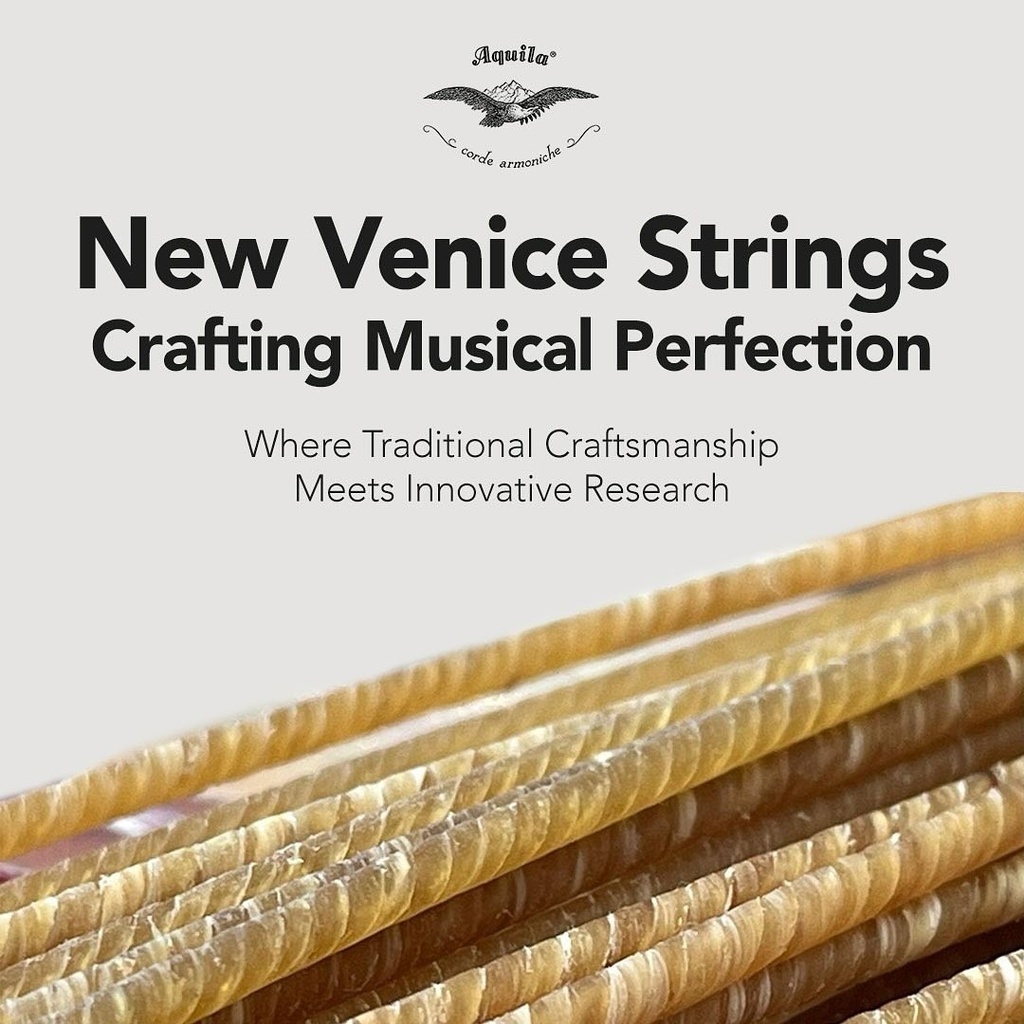Aquila 175VN