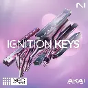 Native Instruments Ignition Keys MPC Edition